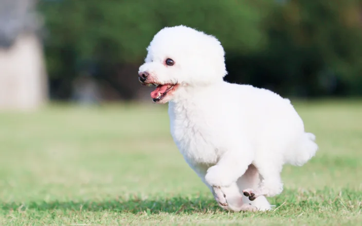 KINS WITH動物病院 立川院