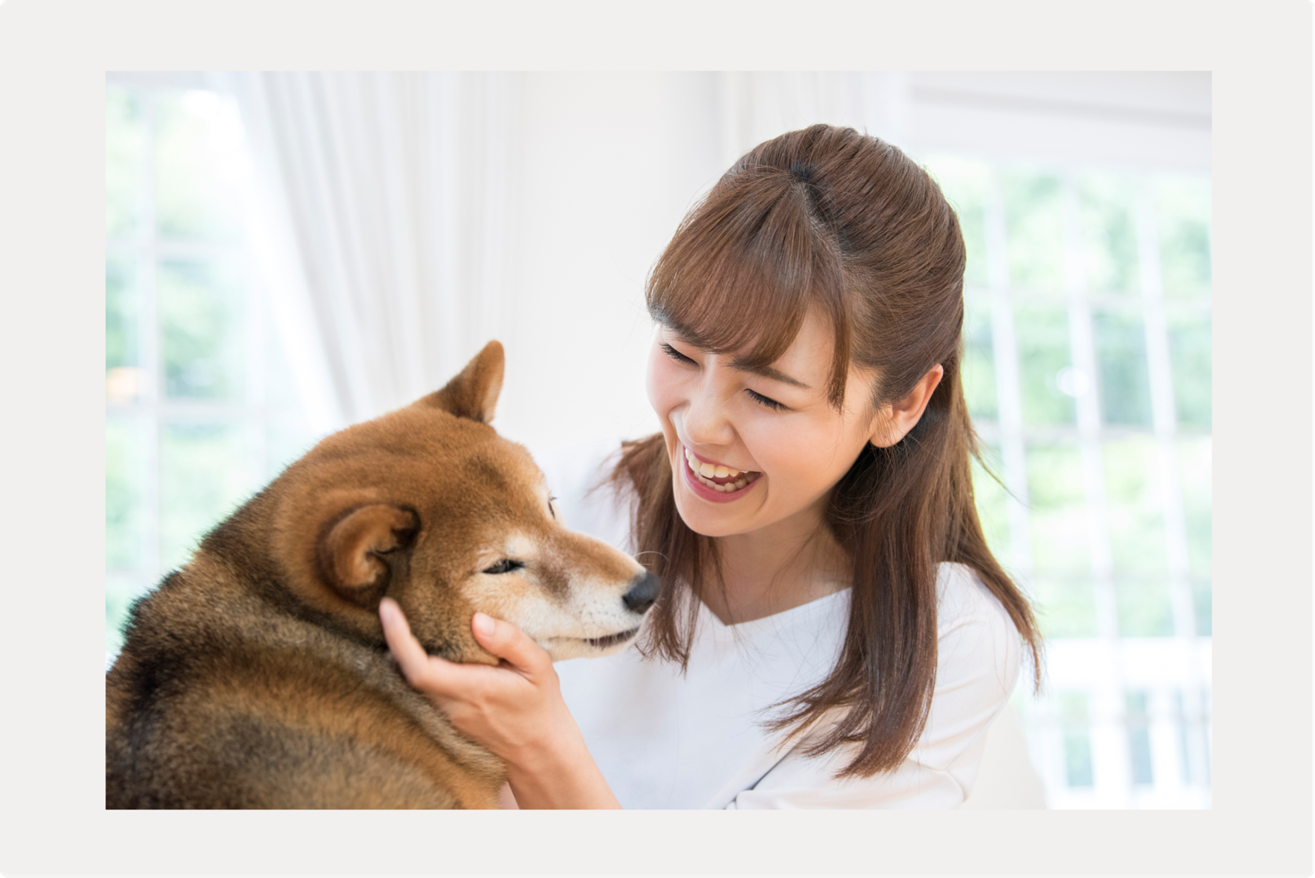 【犬のクッシング症候群 】 自己診断と当院の治療、家庭での過ごしかたのサムネイル画像