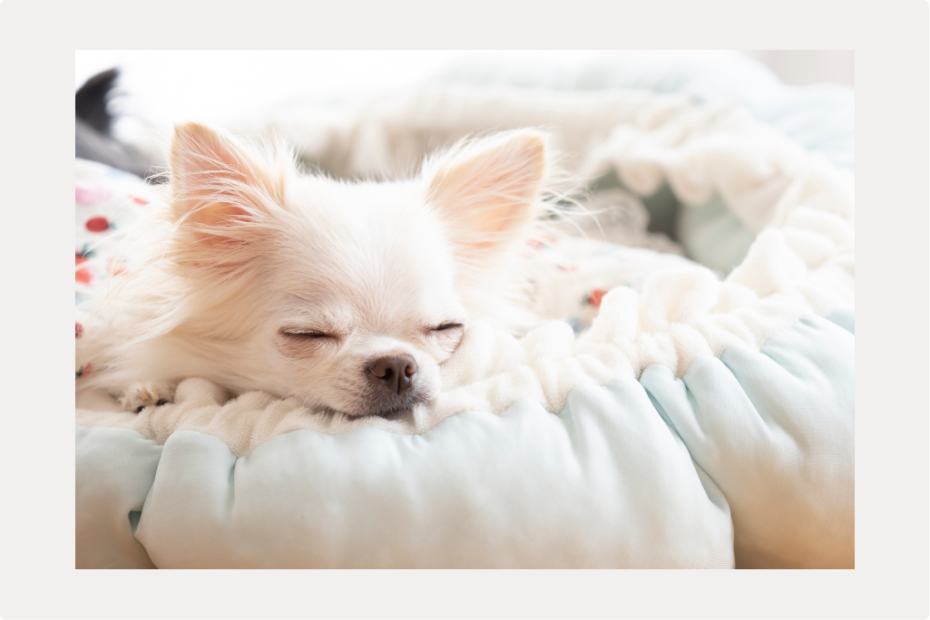 腎不全の治療法